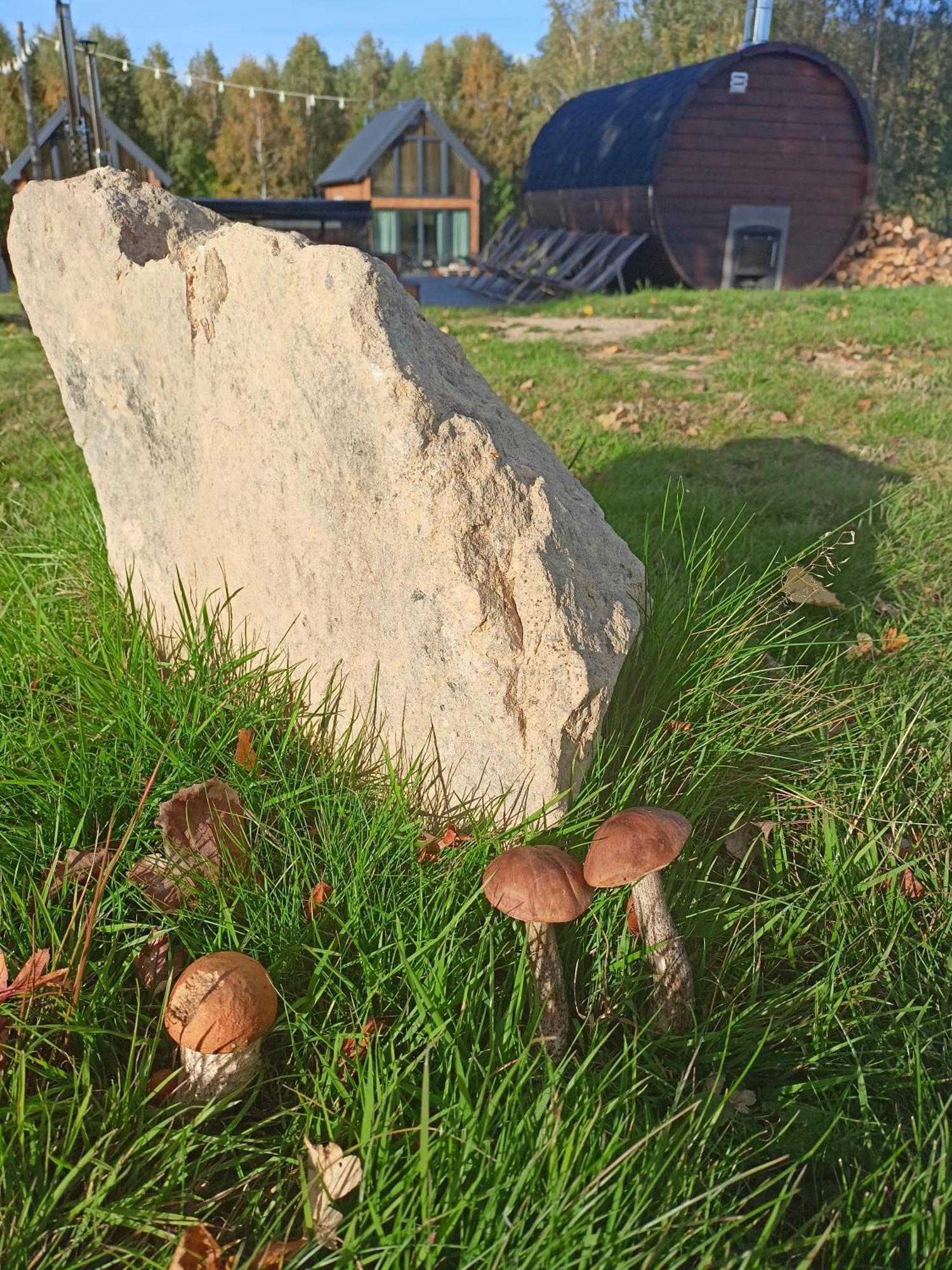 Grudza Barn House Βίλα Δωμάτιο φωτογραφία